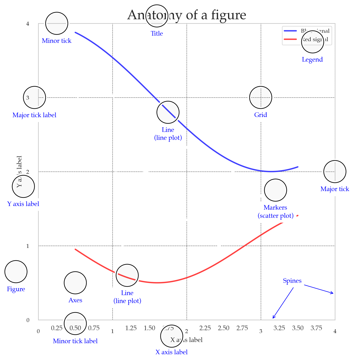 <Figure size 800x800 with 1 Axes>